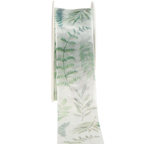 Floristik24 Cinta de organza cinta de gasa hojas ramas verde 40mm 15m