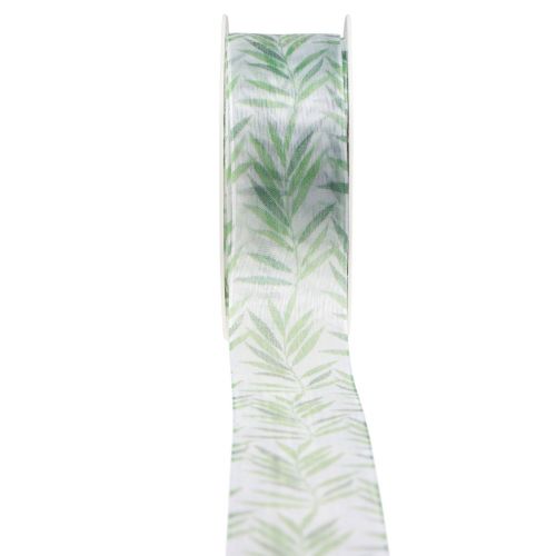 Floristik24 Cinta organza cinta gasa cinta plantas verdes 40mm 15m