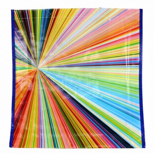 Floristik24 Bolsa de la compra con asas Mikado plástico 37×10×40cm