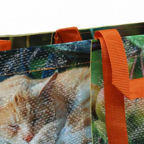 Floristik24 Bolsa de la compra con asas picnic plástico 45×20×44cm