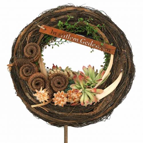 Floristik24 Leucospermum 1-3 Mix crema 100 cabezas