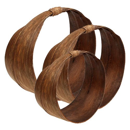 Floristik24 Conjunto de hoja de palma naturaleza 21cm -26cm