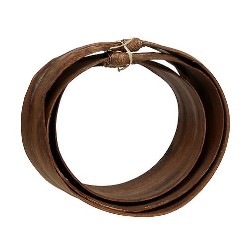 Floristik24 Conjunto de hoja de palma naturaleza 21cm -26cm