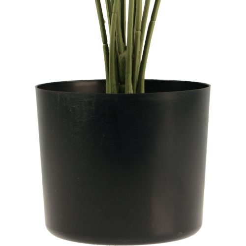 Floristik24 Palmera decorativa palmera plantas artificiales maceta verde 80cm