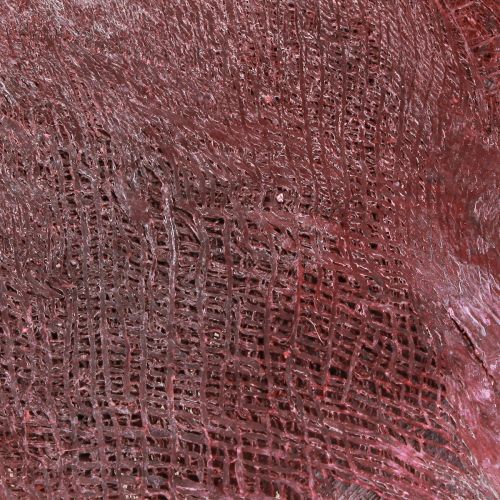 Artículo Fibra de palma para manualidades color burdeos lavado 20-40cm 250g