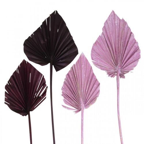 Floristik24 Palmspear Mix Pink Berry, floristería conmemorativa lavada en blanco 65 piezas