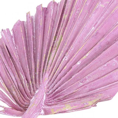 Artículo Palmspear Mix Pink Berry, floristería conmemorativa lavada en blanco 65 piezas