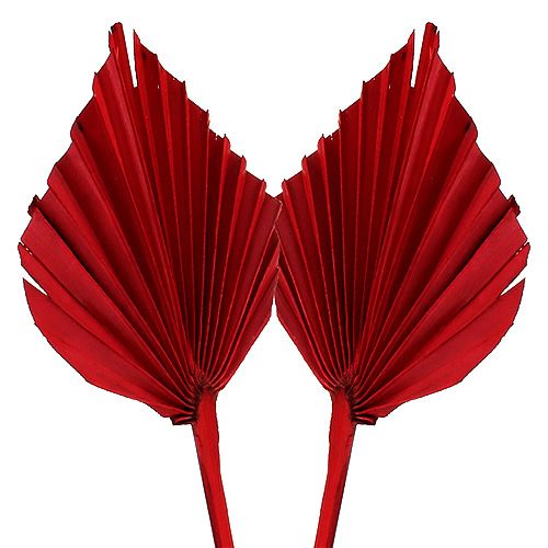 Artículo Lanza de palma roja 65 uds.