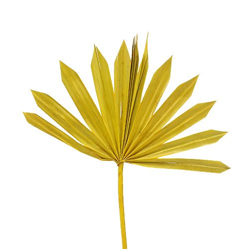 Palmspear Sol mini Amarillo 50p