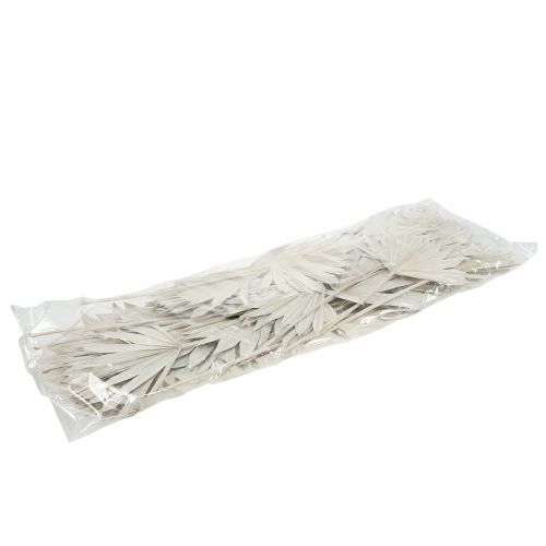 Artículo Palmspear Sun mini blanqueado 50 uds.