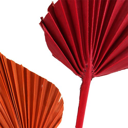 Artículo Palmspear surtido rojo/naranja 50uds