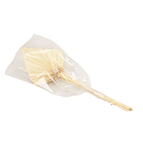 Floristik24 Palmspear hojas de palma decoración natural blanqueadas 12,5×38cm 4 piezas
