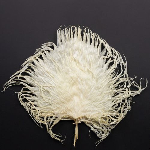 Artículo Hojas de palma secas decorativas blanqueadas 45cm 5 uds