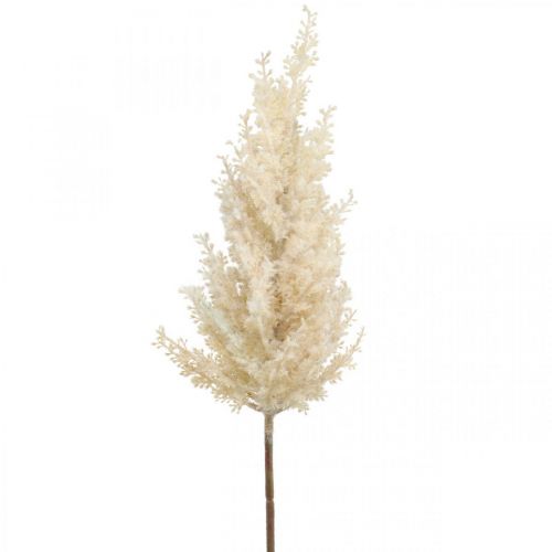 Floristik24 Pampas Grass Cream Artificial Dry Floristics Deco Grass 72cm