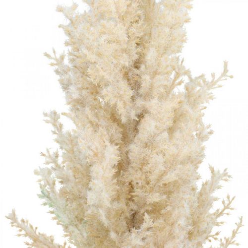 Floristik24 Pampas Grass Cream Artificial Dry Floristics Deco Grass 72cm