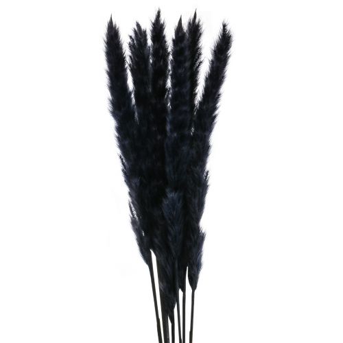 Artículo Hierba de la pampa decoración seca seca negra L72cm 6 piezas