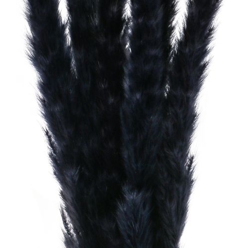 Artículo Hierba de la pampa decoración seca seca negra L72cm 6 piezas