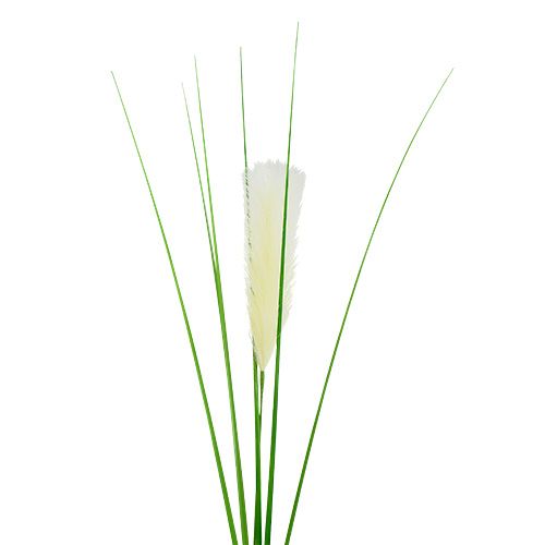Floristik24 Fronda de hierba de pampa verde crema H100cm