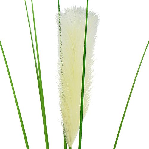 Artículo Fronda de hierba de pampa verde crema H100cm