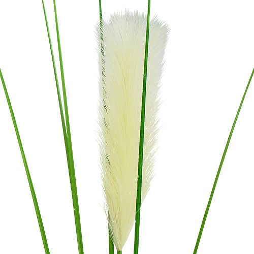 Floristik24 Fronda de hierba de pampa verde crema H100cm