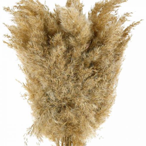 Floristik24 Hierba de pampa seca natural decoración seca 65cm 20 piezas en un paquete