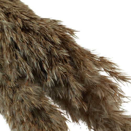 Artículo Hierba de pampa seca decorativa hierba seca natural 95cm 3 piezas