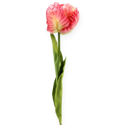 Floristik24 Loro Tulipán Rosa 71cm 3pcs