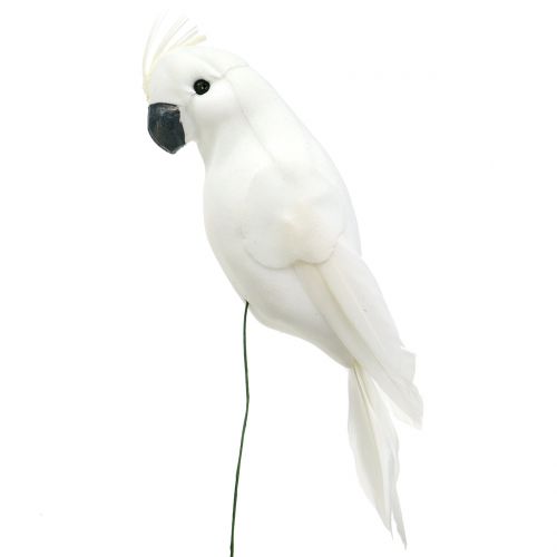 Loros con plumas blanco Cacatúa artificial pájaro decorativo 4pcs