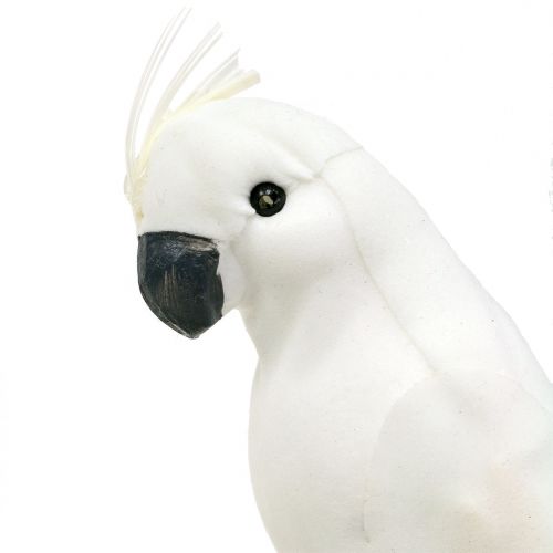 Floristik24 Loros con plumas blanco Cacatúa artificial pájaro decorativo 4pcs