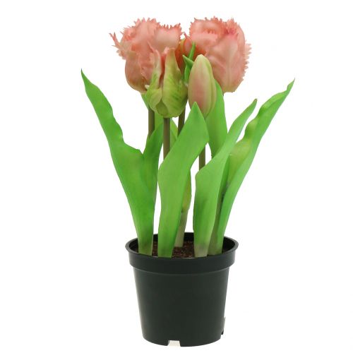 Floristik24 Parrot Tulip Real-Touch en maceta rosa 23cm