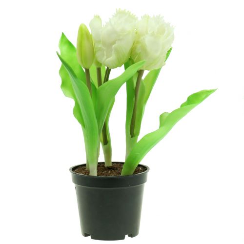 Floristik24 Tulipán loro en maceta Blanco Real-Touch 23cm