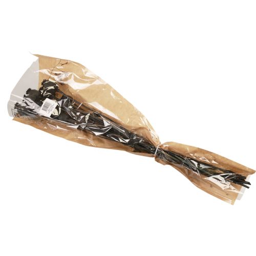 Floristik24 Flores secas de amapola en cápsulas secas Black Papaver 80g