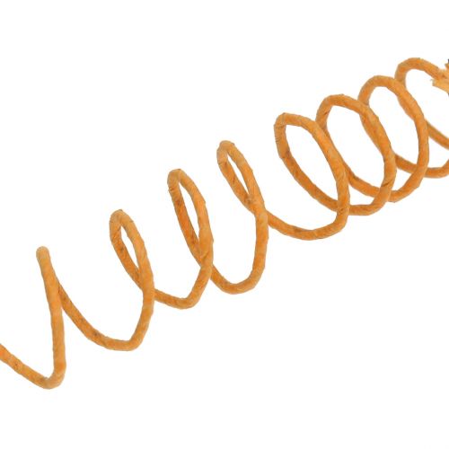 Floristik24 Cordón de papel envuelto en alambre Ø0,8mm 22m Naranja