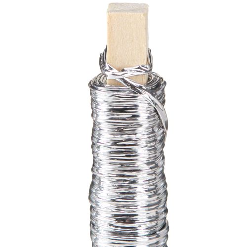Artículo Cordón de papel envuelto en alambre Ø0,8mm 22m plateado