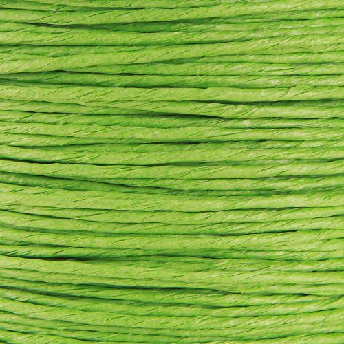 Artículo Cordón de papel recubierto de alambre Ø2mm 100m verde manzana