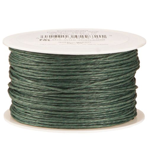 Floristik24 Cordón de papel envuelto en alambre Ø2mm 100m Verde