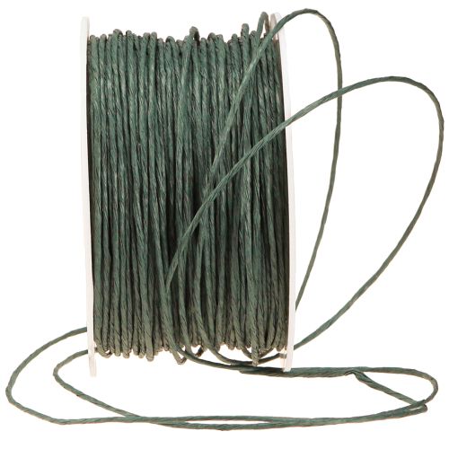 Artículo Cordón de papel envuelto en alambre Ø2mm 100m Verde