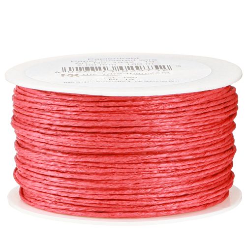 Floristik24 Cordón de papel envuelto en alambre Ø2mm 100m rojo
