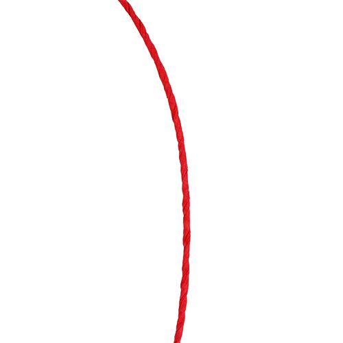 Artículo Hilo de papel envuelto Ø2mm 100m rojo