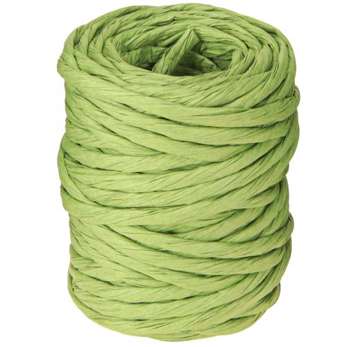 Floristik24 Cordón de papel verde decorativo sin alambre ancho 6mm 23m