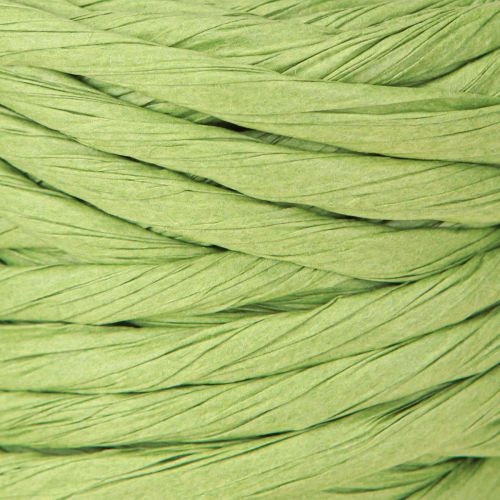 Artículo Cordón de papel verde decorativo sin alambre ancho 6mm 23m