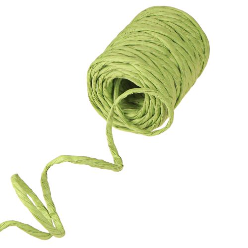 Artículo Cordón de papel verde decorativo sin alambre ancho 6mm 23m
