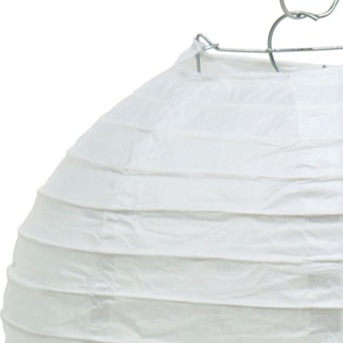 Floristik24 Farol de papel blanco Ø20cm