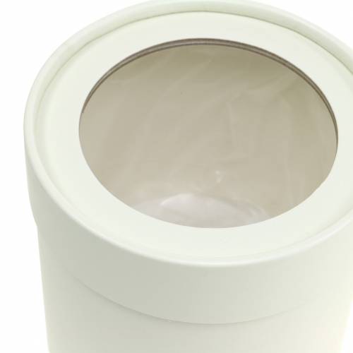 Artículo Jardinera redonda de cartón crema Ø10/12cm juego de 2