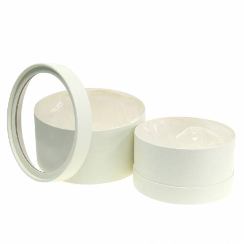 Floristik24 Caja de flores redonda de cartón crema Ø15,5/19cm juego de 2