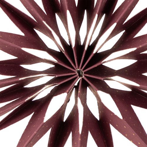 Artículo Estrellas de papel, rosa burdeos, para colgar, Ø10 cm, 4 unidades