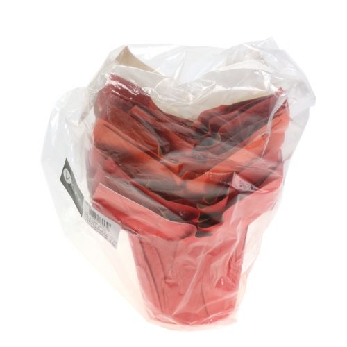 Floristik24 Macetero de papel naranja / rojo Ø8cm 12pcs