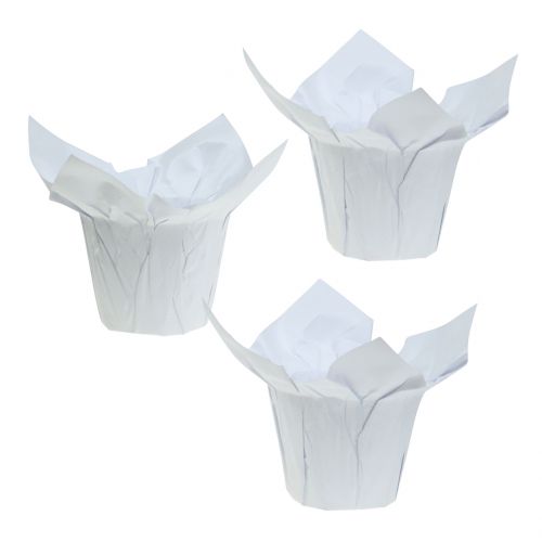 Floristik24 Maceteros de papel blanco Ø10cm 12pcs