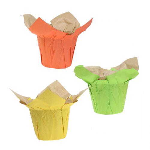 Floristik24 Macetas de papel verde, naranja, amarillo Ø8cm 12pcs