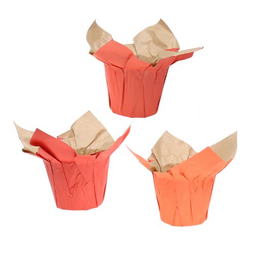 Floristik24 Macetero de papel naranja / rojo Ø8cm 12pcs